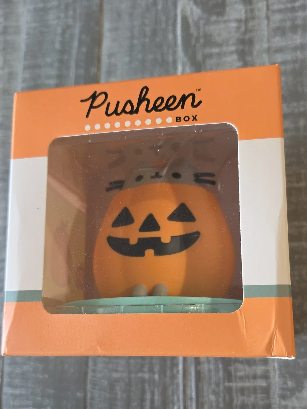 Pusheen Pumpkin Vinyl Figure, Limited Edition Fall 2025 Box, Halloween Cat